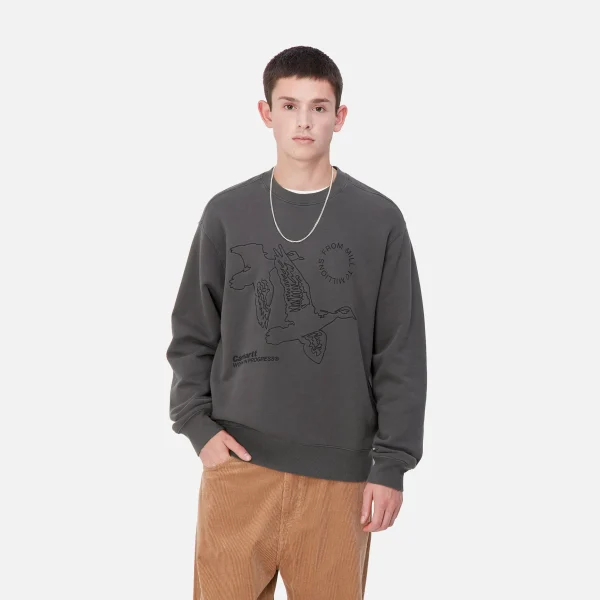 Carhartt WIP Sweats>Flying Ducks Sweat Graphite