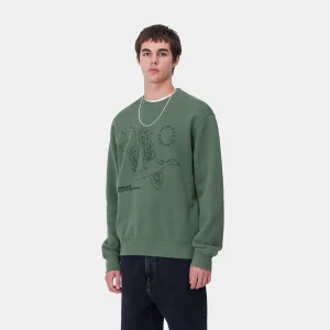 Carhartt WIP Sweats>Flying Ducks Sweat Duck Green