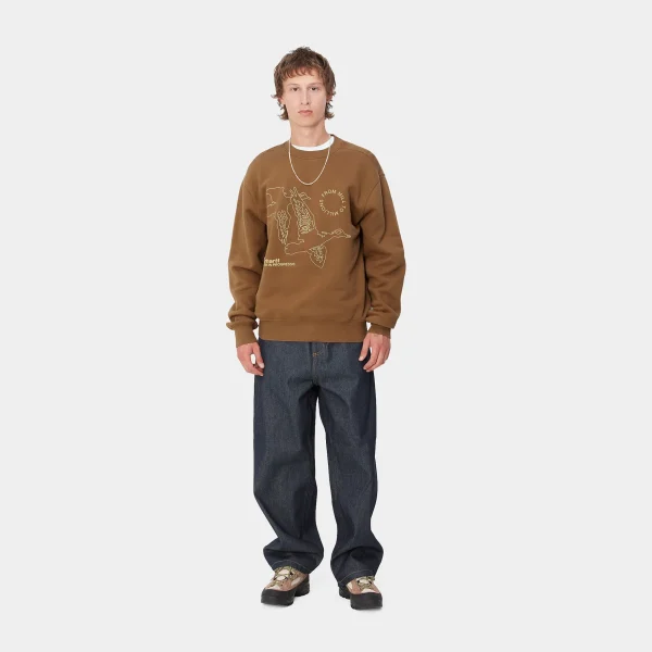 Carhartt WIP Sweats>Flying Ducks Sweat Hamilton Brown