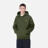 Carhartt WIP Sweats>Hooded American Script Sweatshirt Tarragon