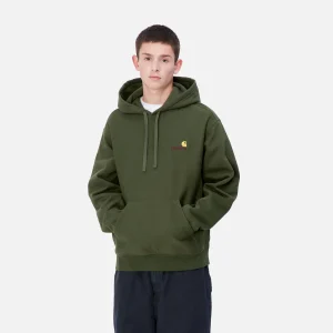 Carhartt WIP Sweats>Hooded American Script Sweatshirt Tarragon