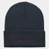 Carhartt WIP Accessoires | Accessoires>Script Beanie Air Force Blue / Malbec