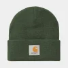 Carhartt WIP Accessoires | Accessoires>Short Watch Hat Sycamore Tree