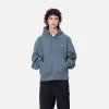 Carhartt WIP Sweats>W' Hooded American Script Sweatshirt Positano